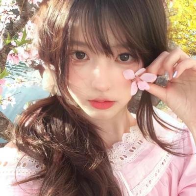 没人瞭波斯猫