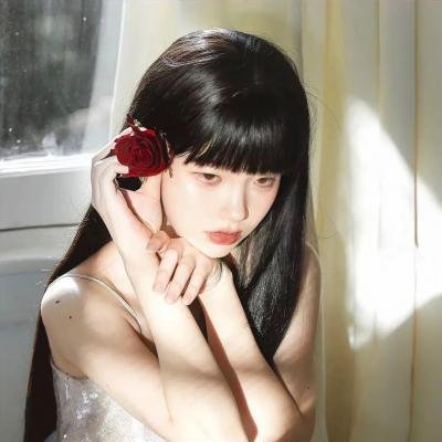 蒂科与鲨鱼